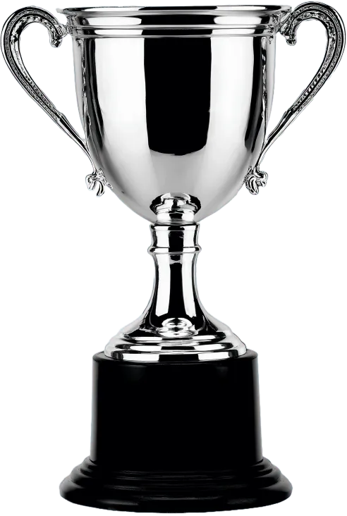 A shiny silver trophy cup on a black base